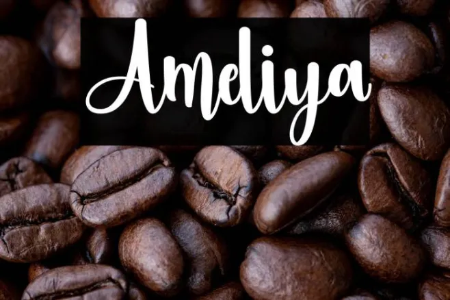 Ameliya Example 1