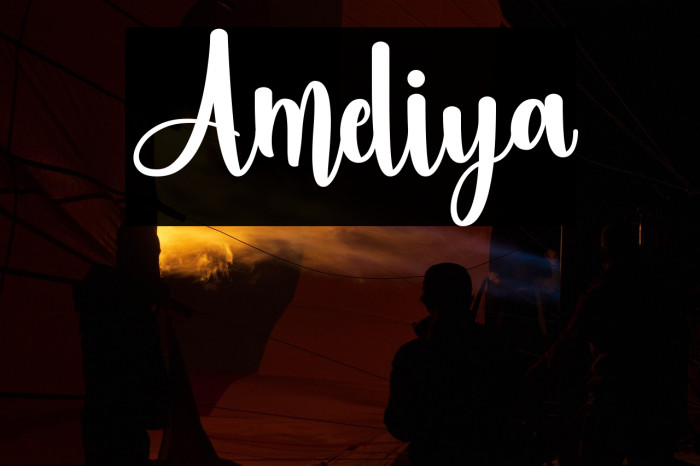Ameliya Example 2