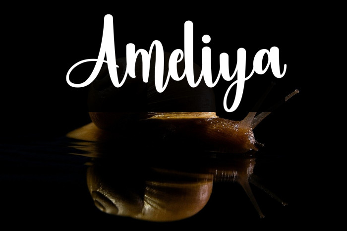 Ameliya Example 3