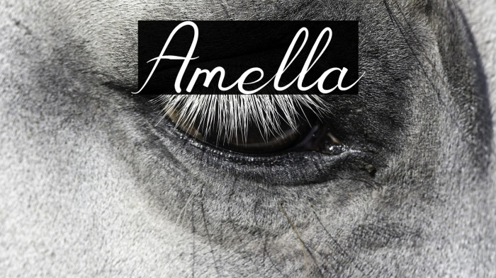 Amella Example 2