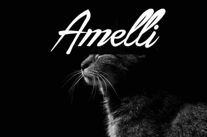 Amelli Example 1