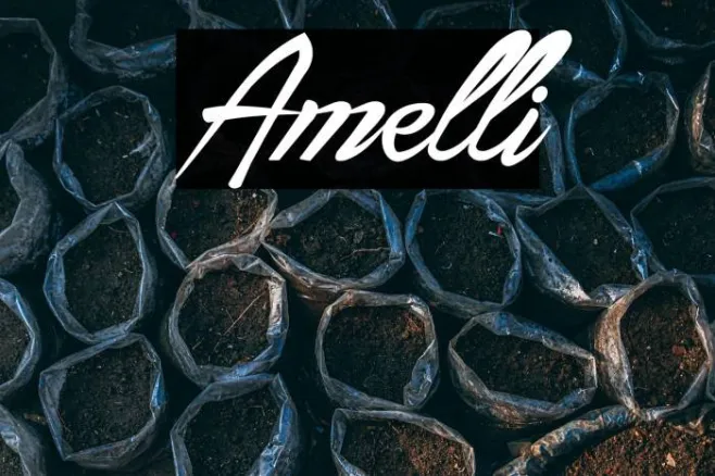 Amelli Example 2