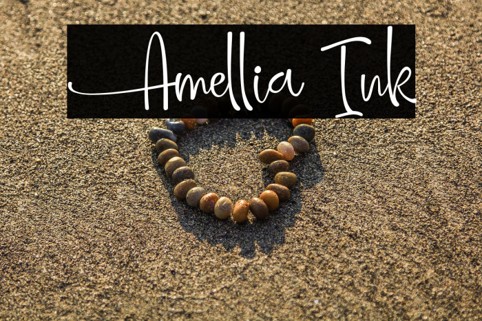 Amellia Ink Example 1