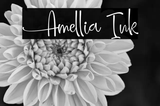 Amellia Ink Font examples