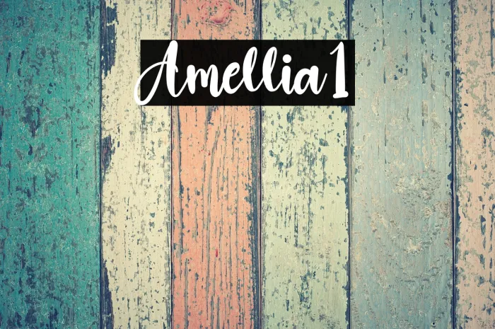 Amellia1 Example 1