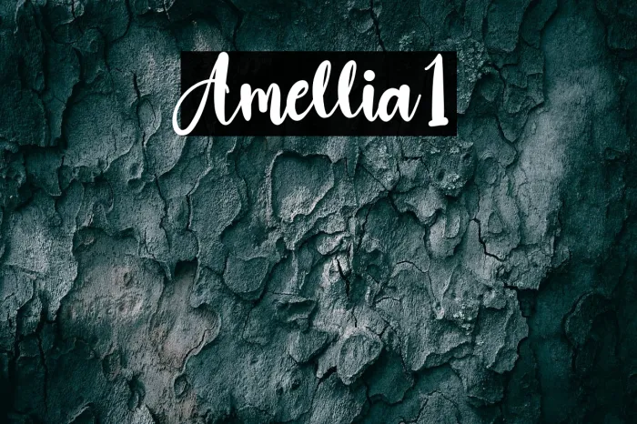 Amellia1 Example 3