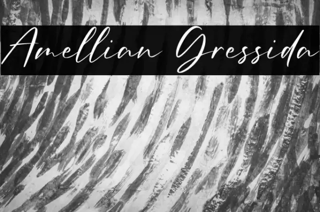 Amellian Gressida Font examples