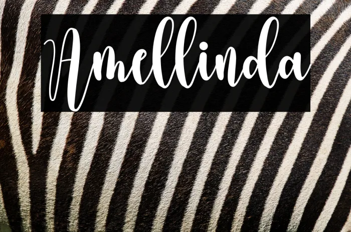 Amellinda Example 1