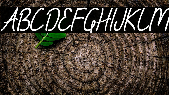 Amelline Italic Example 1