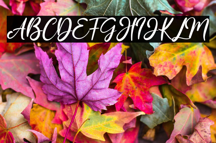 Amellis Path Example 2