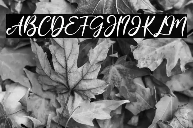 Amellis Path Font examples