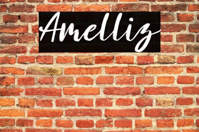 Amelliz Example 1