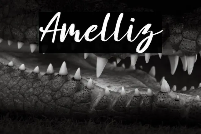 Amelliz Example 2