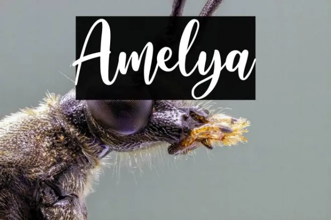 Amelya Example 1