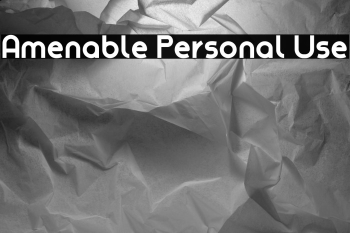 Amenable Personal Use Example 1
