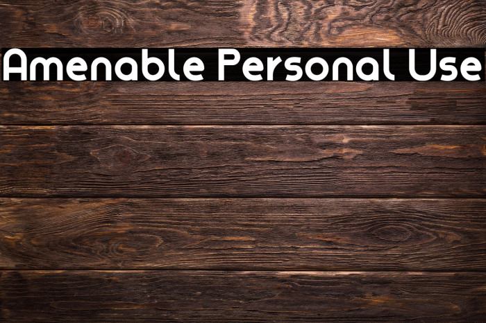 Amenable Personal Use Example 2
