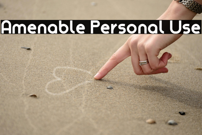 Amenable Personal Use Example 3