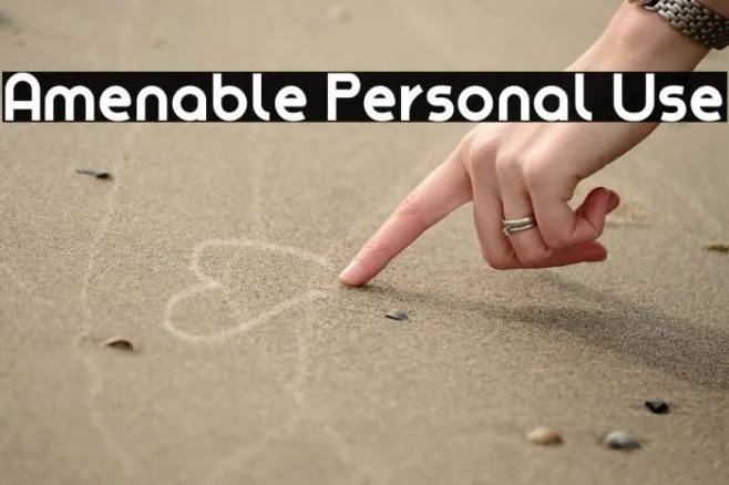 Amenable Personal Use Example 3