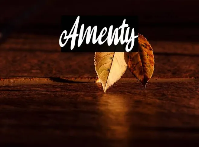 Amenty Example 3