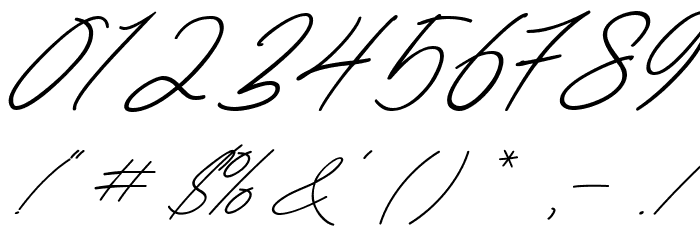 Amera Font OTHER CHARS