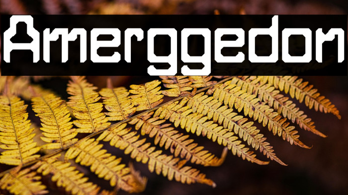 Amerggedon Example 1