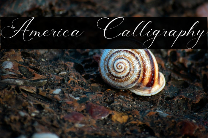 America Calligraphy Example 1