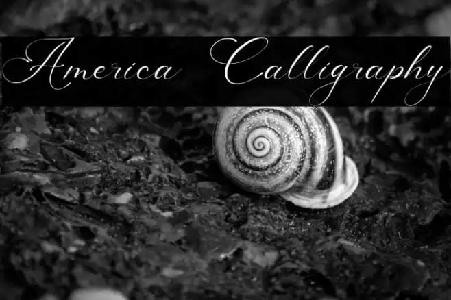 America Calligraphy Font examples