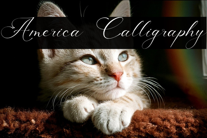 America Calligraphy Example 3