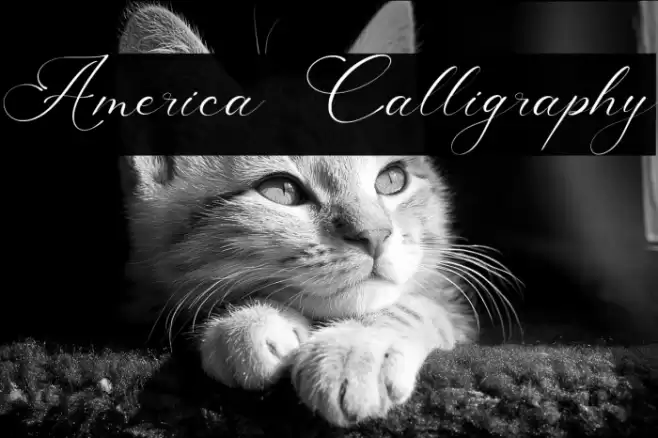 America Calligraphy Font examples