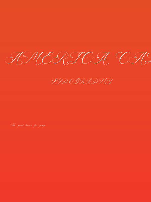 America Calligraphy Poster