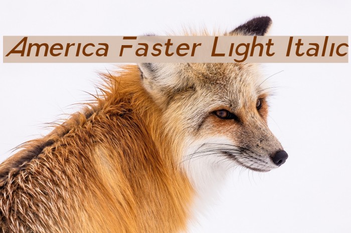 America Faster Light Italic Font examples