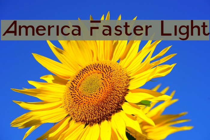 America Faster Light Example 2