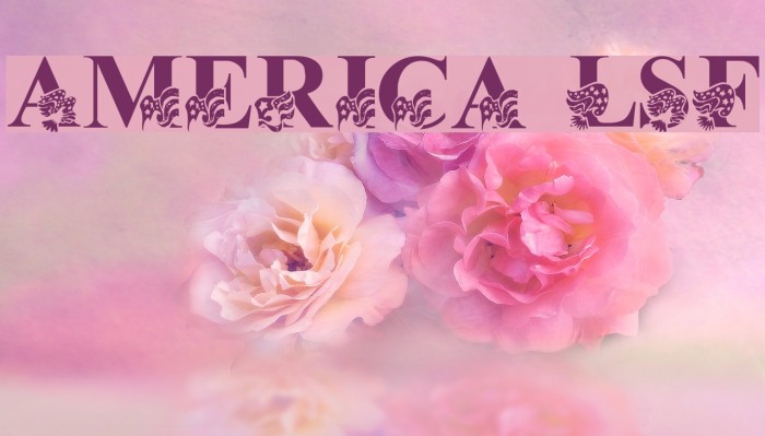 America LSF Example 3