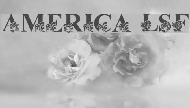 America LSF Font examples