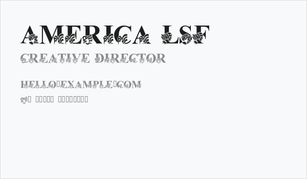 America LSF Business Card