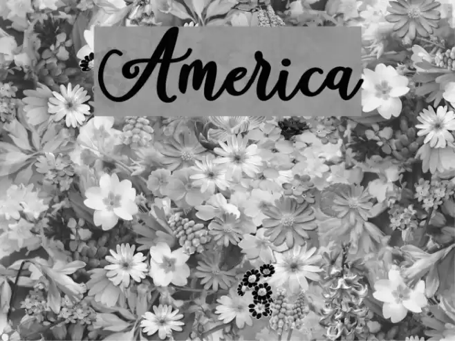 America Font examples