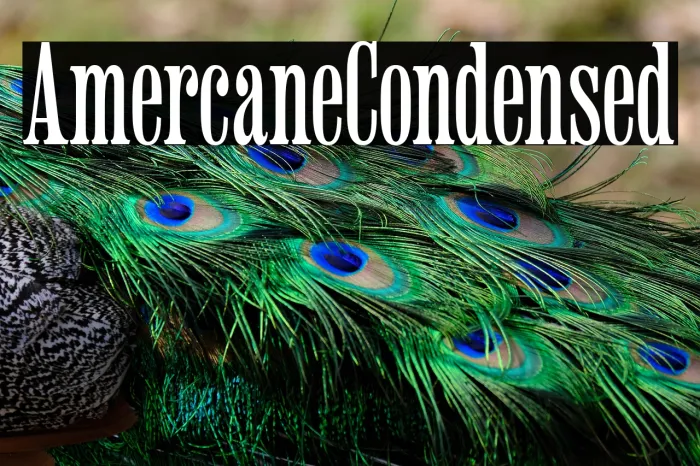 Americaine Condensed Example 1