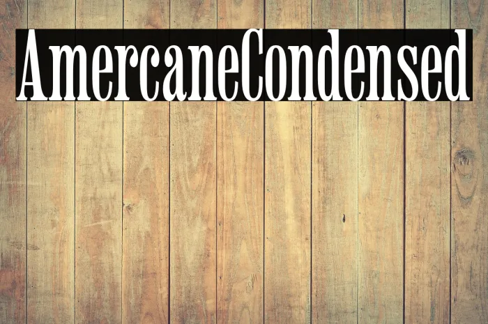 Americaine Condensed Example 3