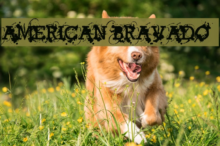 American Bravado Font examples