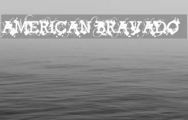 American Bravado Polices examples