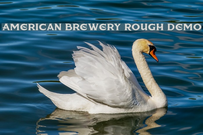 American Brewery Rough Demo Example 1