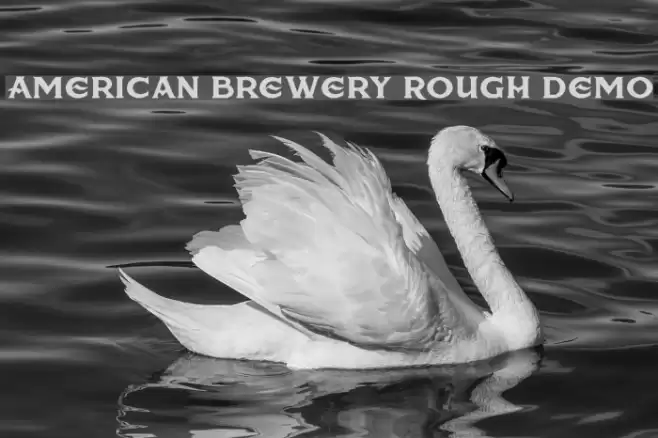 American Brewery Rough Demo Font examples