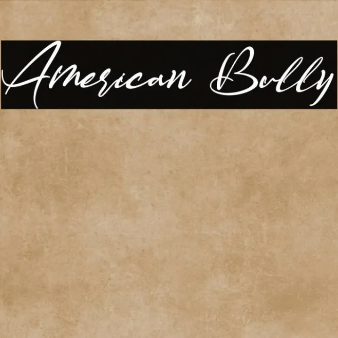 American Bully Example 2