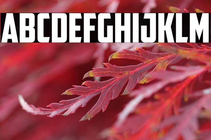 American Captain Example 3