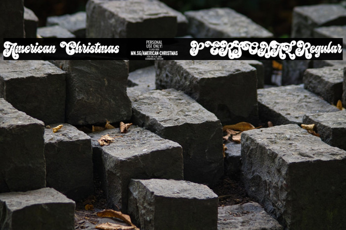 American Christmas 2 PERSONAL Regular Example 3