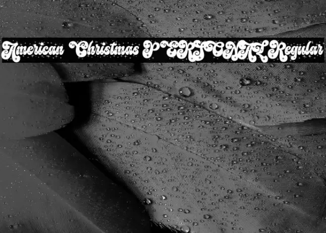 American Christmas PERSONAL Regular Font examples