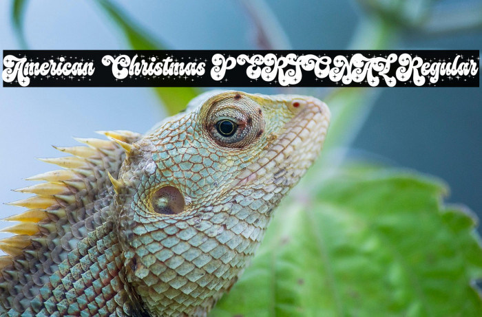 American Christmas PERSONAL Regular Example 3