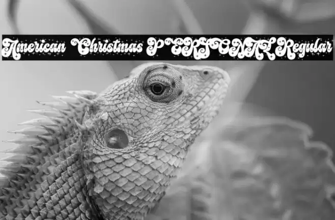 American Christmas PERSONAL Regular Font examples