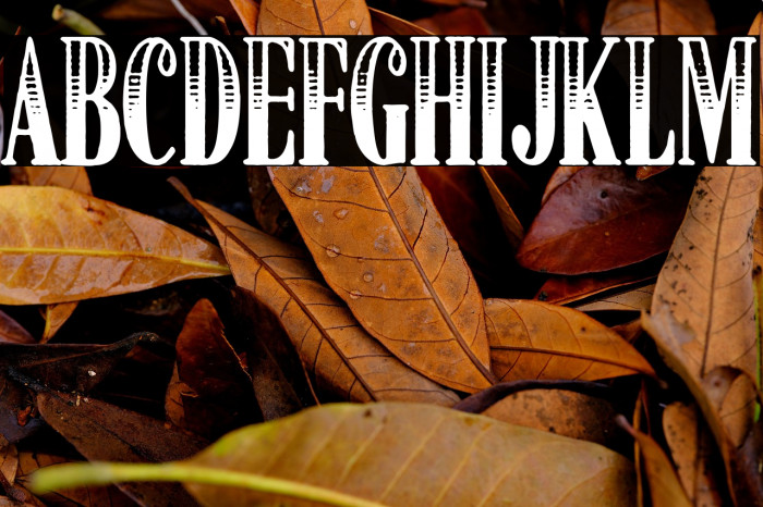 American Dreamer Example 1