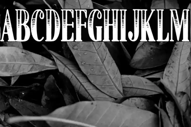 American Dreamer Font examples